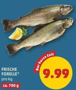 PENNY Frische forelle Angebot