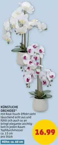 PENNY Künstliche orchidee Angebot