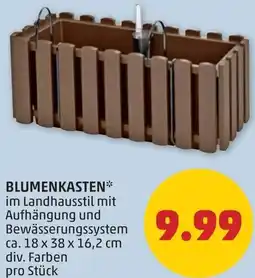 PENNY Blumenkasten Angebot