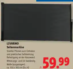 Lidl Livarno Seitenmarkise Angebot