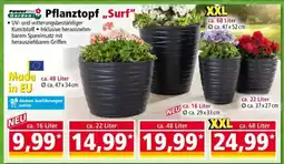 Norma Pflanztopf „Surf“ Angebot