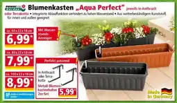 Norma Blumenkasten Aqua Perfect Angebot