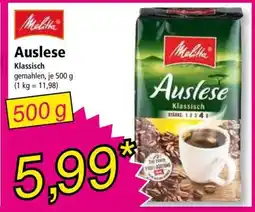Norma MELITTA AUSLESE KLASSISCH Angebot