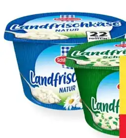 MPreis Schärdinger Landfrischkäse Angebot