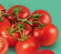 PENNY Ich bin Österreich Midi-Rispentomaten Angebot