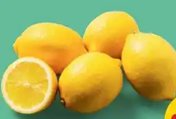 PENNY Echt Bio Zitronen Angebot