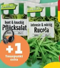PENNY Marktliebe Pflücksalat Angebot