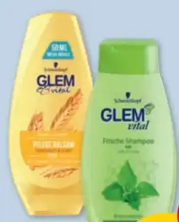 PENNY Schwarzkopf Glem Vital Shampoo Angebot