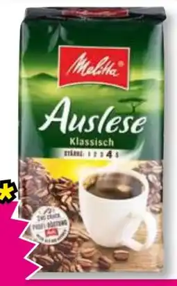 Norma Melitta Auslese Angebot