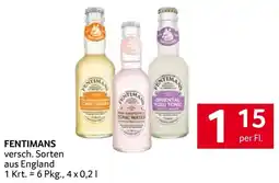 Transgourmet Fentimans Angebot