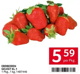 Transgourmet Erdbeeren gelegt kl.1 Angebot
