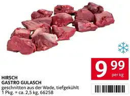 Transgourmet Hirsch gastro gulasch Angebot