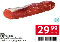 Transgourmet Rind filet 5+ lbs Angebot