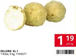 Transgourmet Sellerie kl.1 Angebot