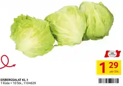 Transgourmet Eisbergsalat kl.1 Angebot