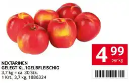 Transgourmet Nektarinen gelegt kl.1 gelbfleischig Angebot