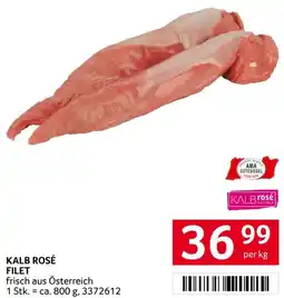 Transgourmet Kalb rosé filet Angebot