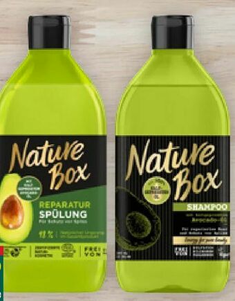 Billa Shampoo Angebot