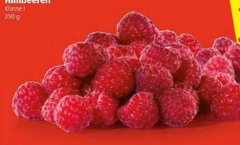 Hofer Himbeeren Angebot