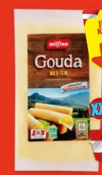 Hofer Gouda Angebot