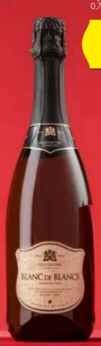 Hofer Blanc de Blancs Spumante Angebot