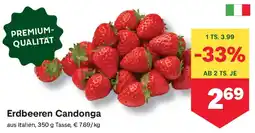 MPreis Erdbeeren Candonga Angebot