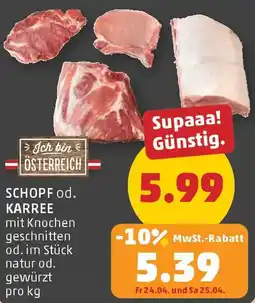 PENNY Schopf od. karree Angebot