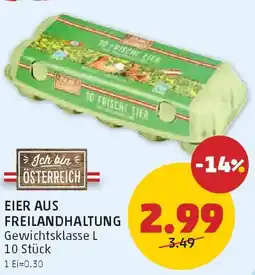 PENNY Eier aus freilandhaltung Angebot