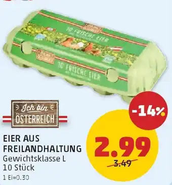 PENNY Eier aus freilandhaltung Angebot