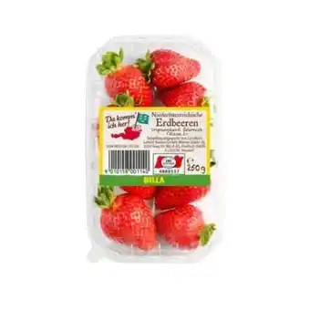 Billa Da komm' ich her Erdbeeren Angebot