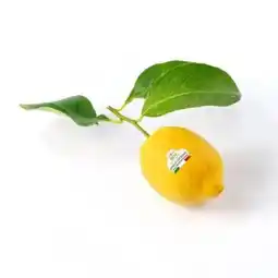 Billa Billa Genusswelt Amalf Zitrone Angebot