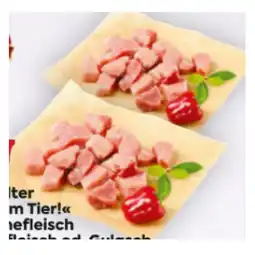 Billa Fair zum Tier! Schweinefleisch für Reisfleisch od. Gulasch BILLA Angebot