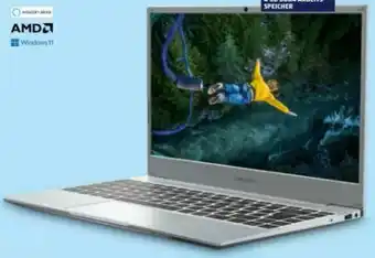 Hofer Notebook Akoya E14308 Angebot