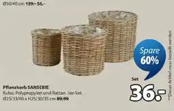 JYSK Pflanzkorb sansebie Angebot