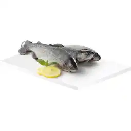 Metro Regenbogenforelle, Preisangabe ohne MwSt. (Preis inkl. MwSt. 10,99 €), METRO Angebot