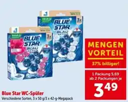 Interspar Blue star wc-spüler Angebot