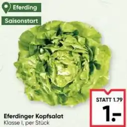 Maximarkt Eferdinger Kopfsalat Angebot