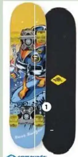 Maximarkt Skateboard Best Surfer Angebot