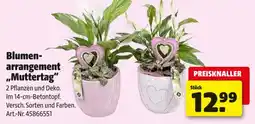 Hagebau Blumen- arrangement muttertag Angebot