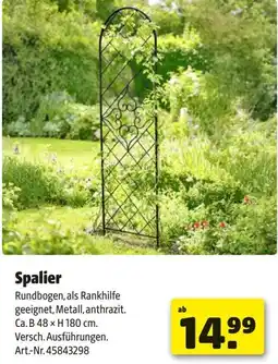Hagebau Spalier Angebot