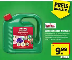 Hagebau Balkonpflanzen Nahrung Angebot