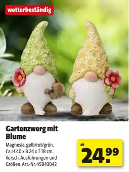 Hagebau Gartenzwerg mit Blume Angebot