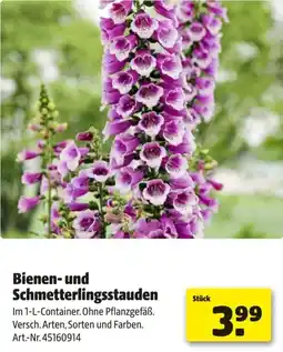 Hagebau Bienen- und Schmetterlingsstauden Angebot