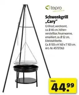 Hagebau Schwenkgrill Cary Angebot