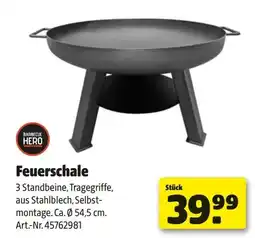 Hagebau Feuerschale Angebot