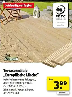 Hagebau Terrassendiele europäische lärche Angebot
