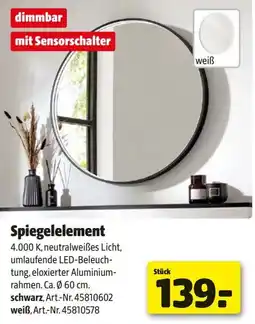 Hagebau Spiegelelement Angebot