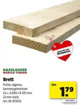 Hagebau Brett Angebot