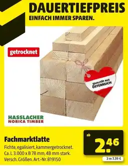 Hagebau Fachmarktlatte Angebot