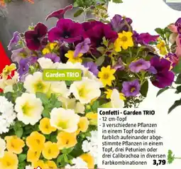 Bauhaus Piardino Balkonpflanzen-Mix Confetti Garden Angebot